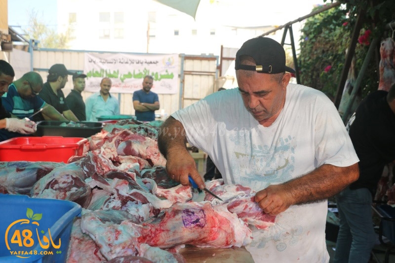 lod8om ada73y (94).JPG